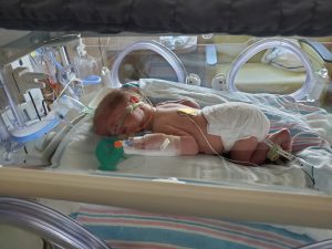 A baby in an incubator.