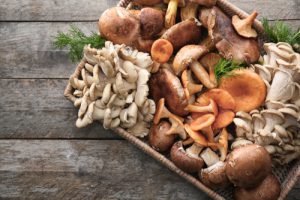Assorted mushrooms on a brown plate on a wooden  surface
