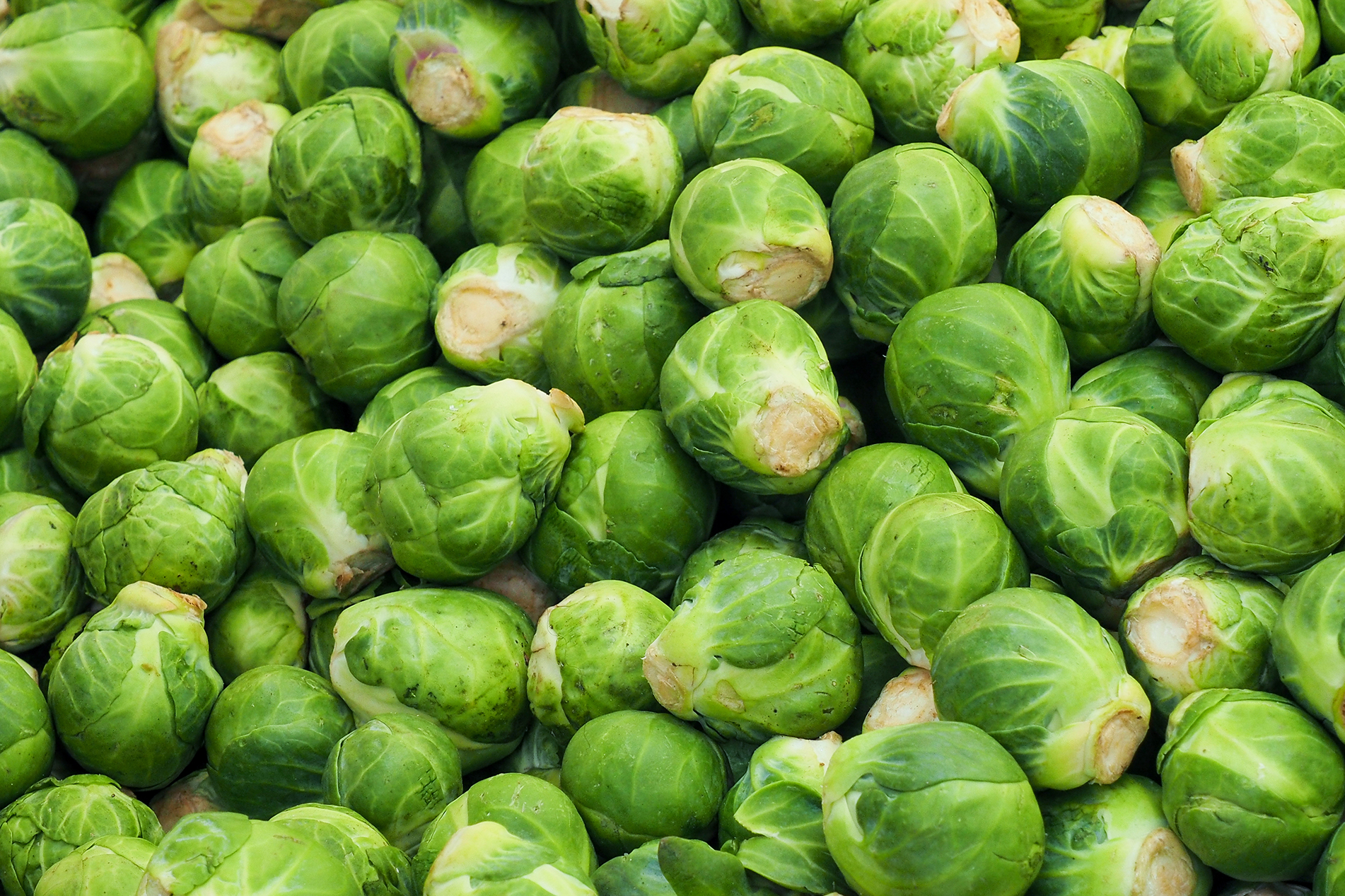 tray of raw Brussels sprouts
