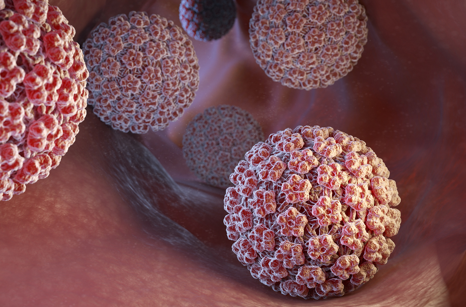 Men, could you be living with HPV?