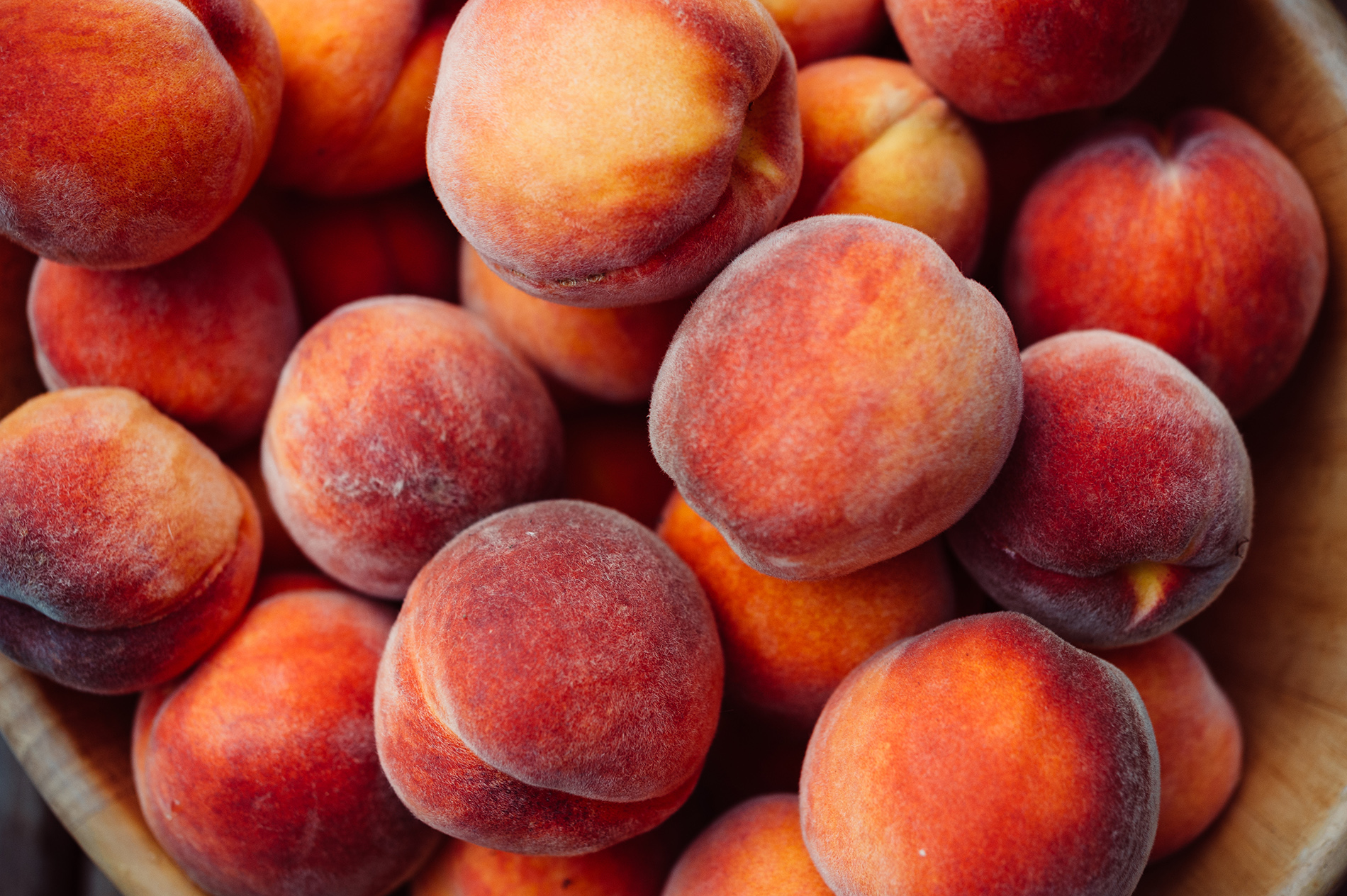 Bowl full of peaches