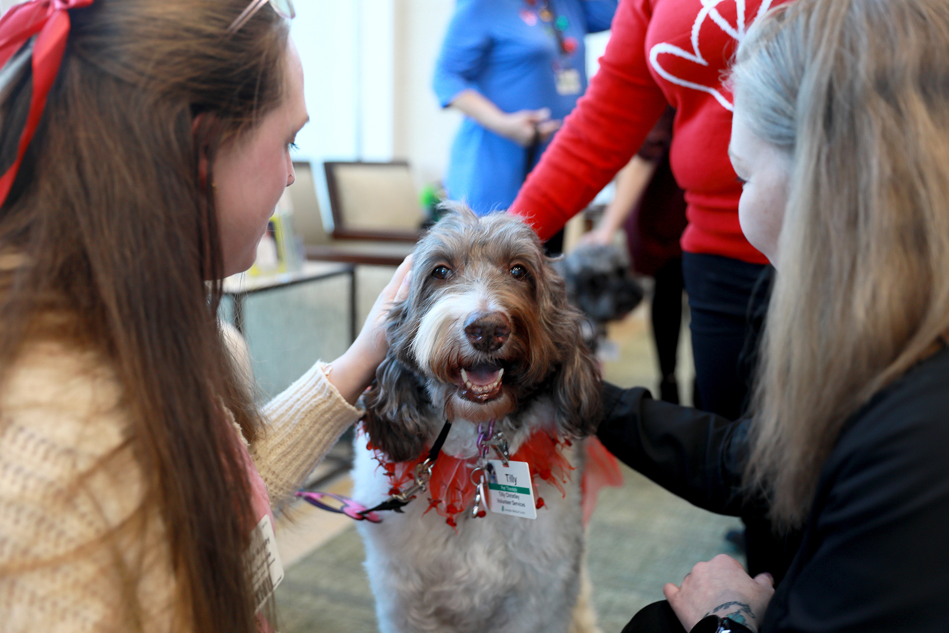 Pet therapy dog with hospital employees