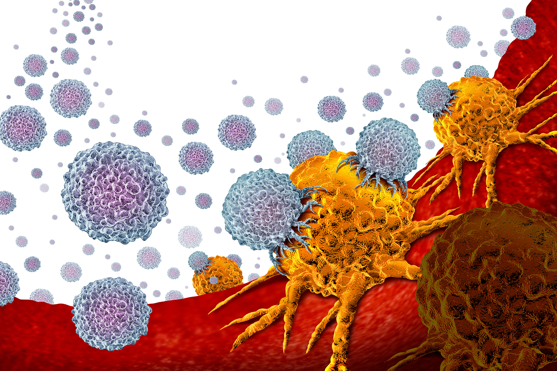 Immune system cells attacking cancer cell