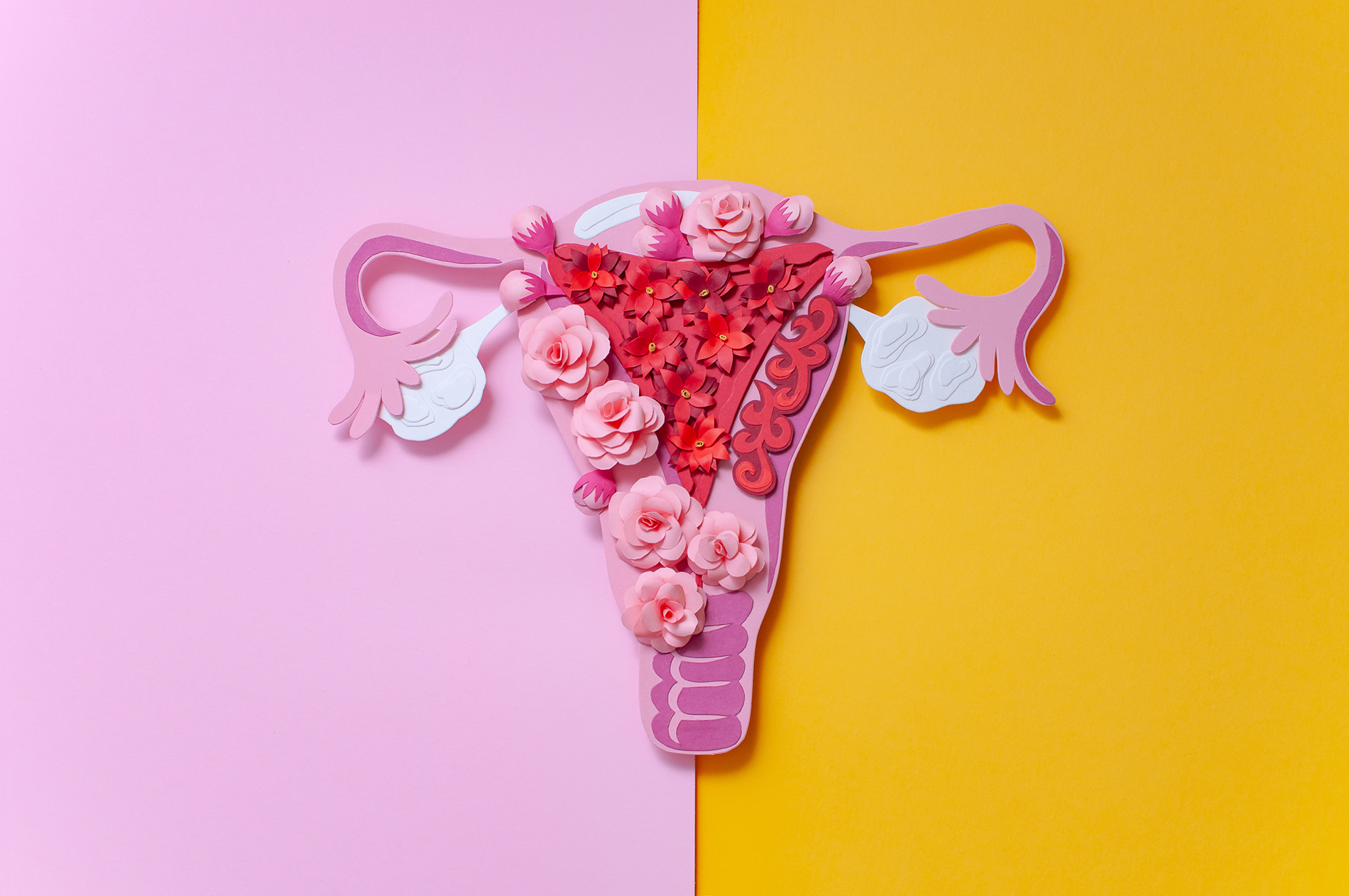 Abstract image of uterus, fallopian tubes and ovaries formed by flowers