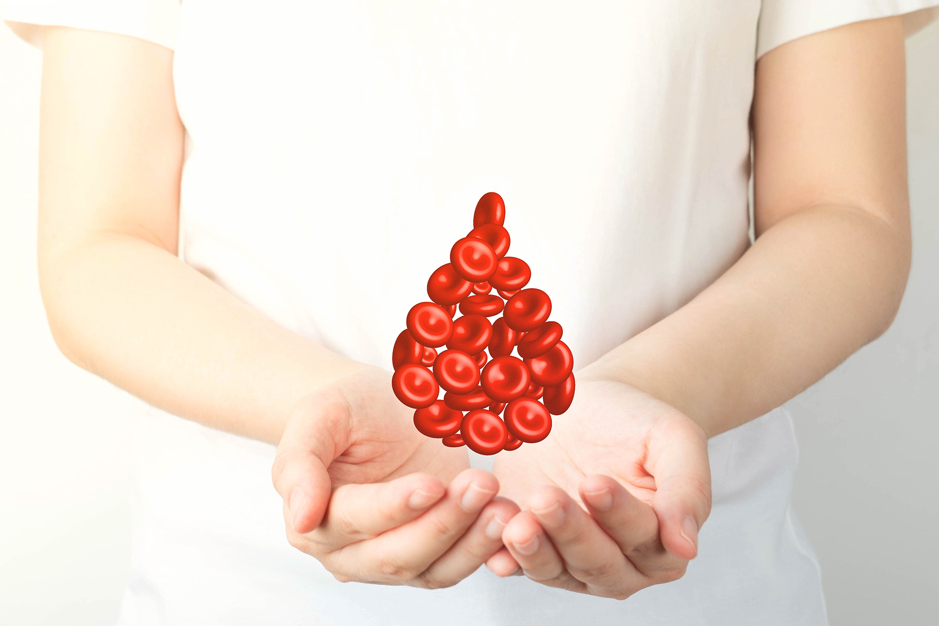 Woman's hands holding illustration of large drop of blood formed of red blood cells