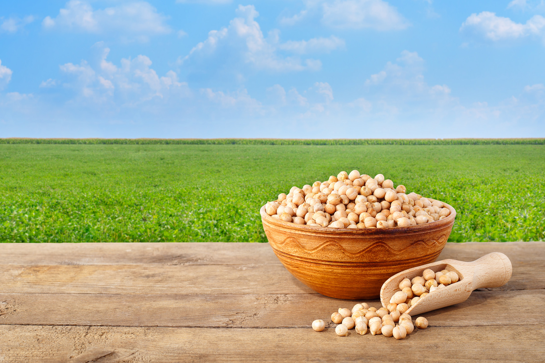 Chickpeas in bowl on table in field
