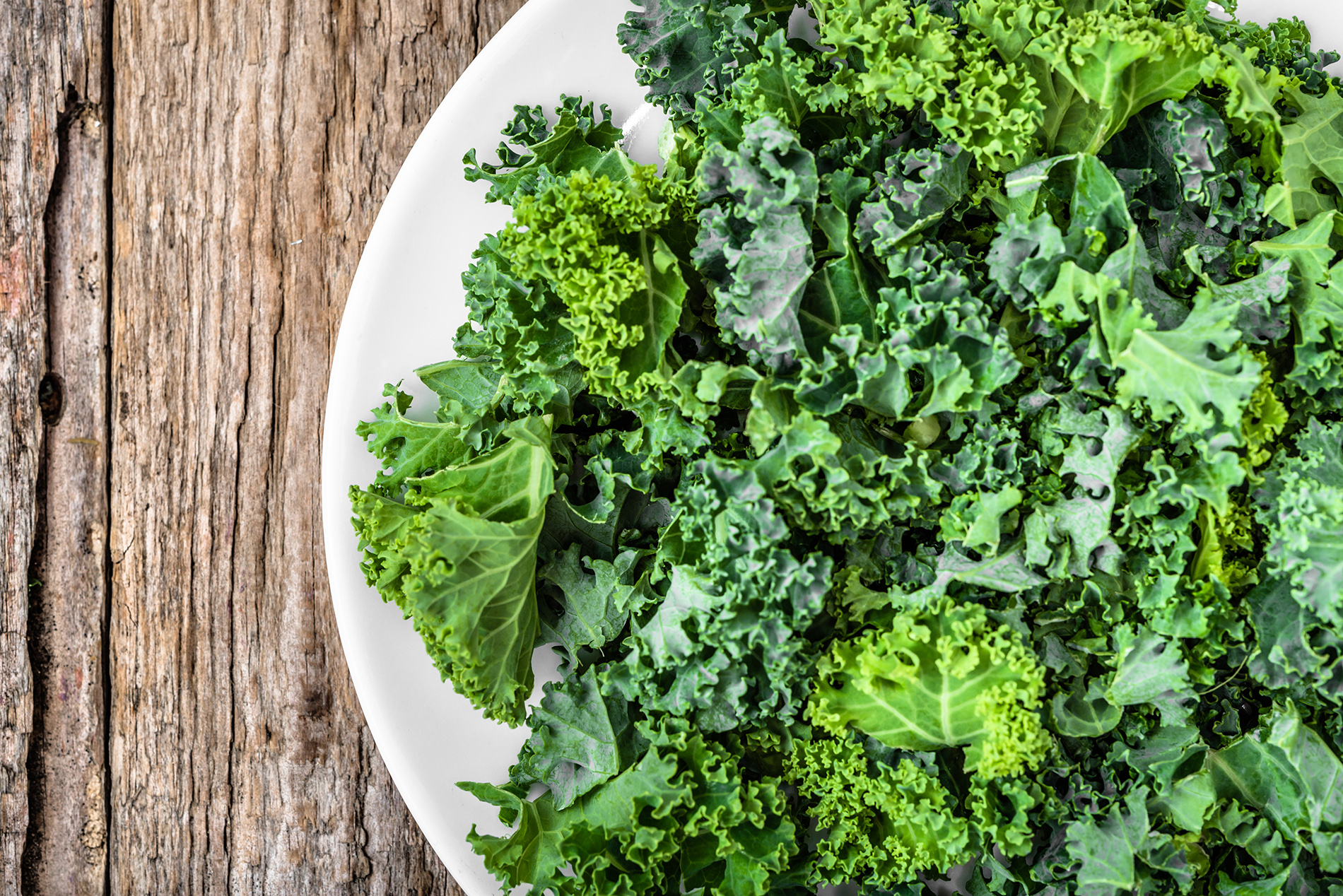 Bowl of kale