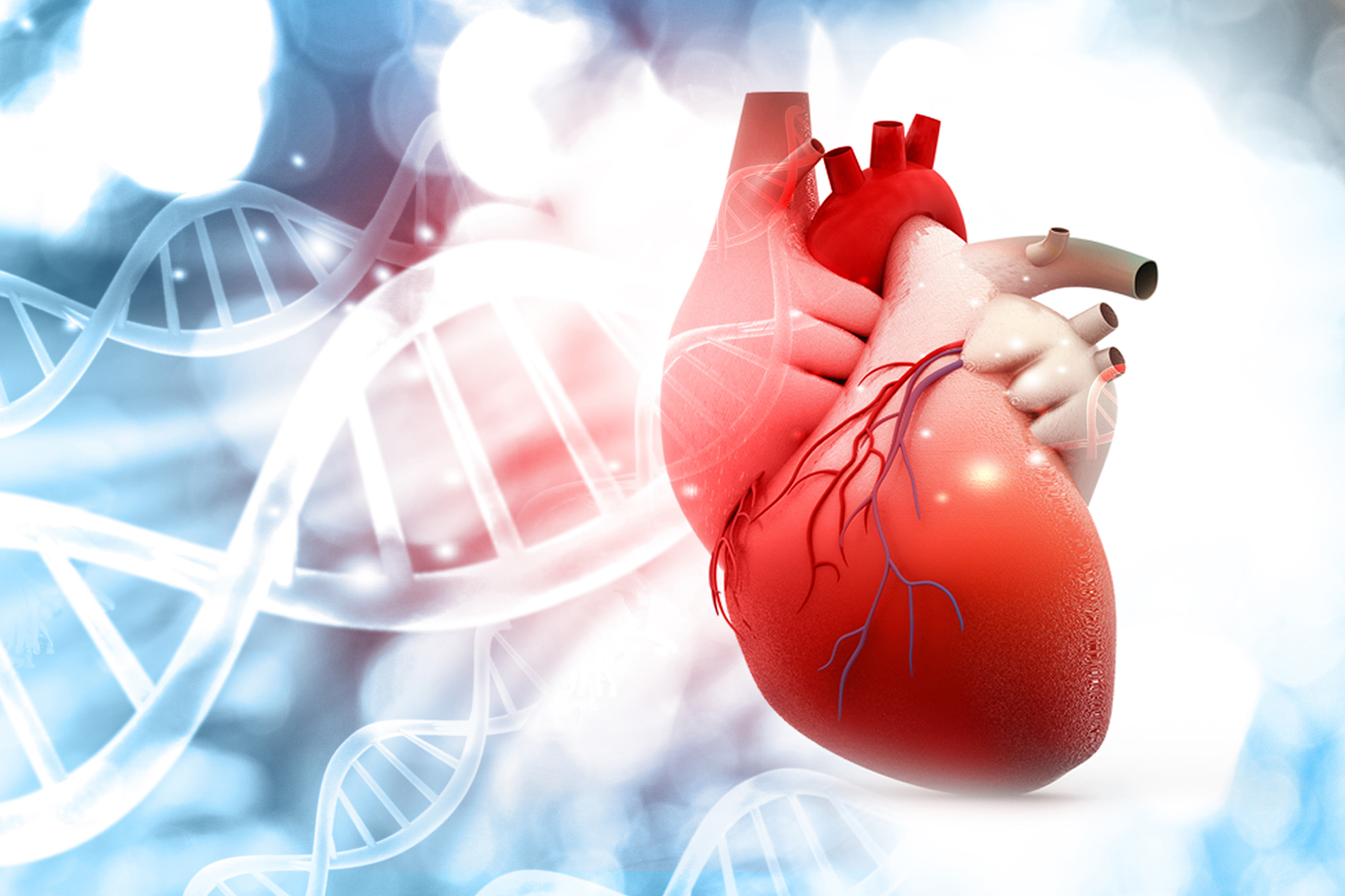 Abstract image of heart and DNA double helix