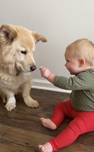 baby and dog looking at each other