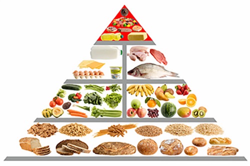 Illustration of food pyramid