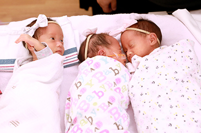 Identical triplets babies in special care nursery
